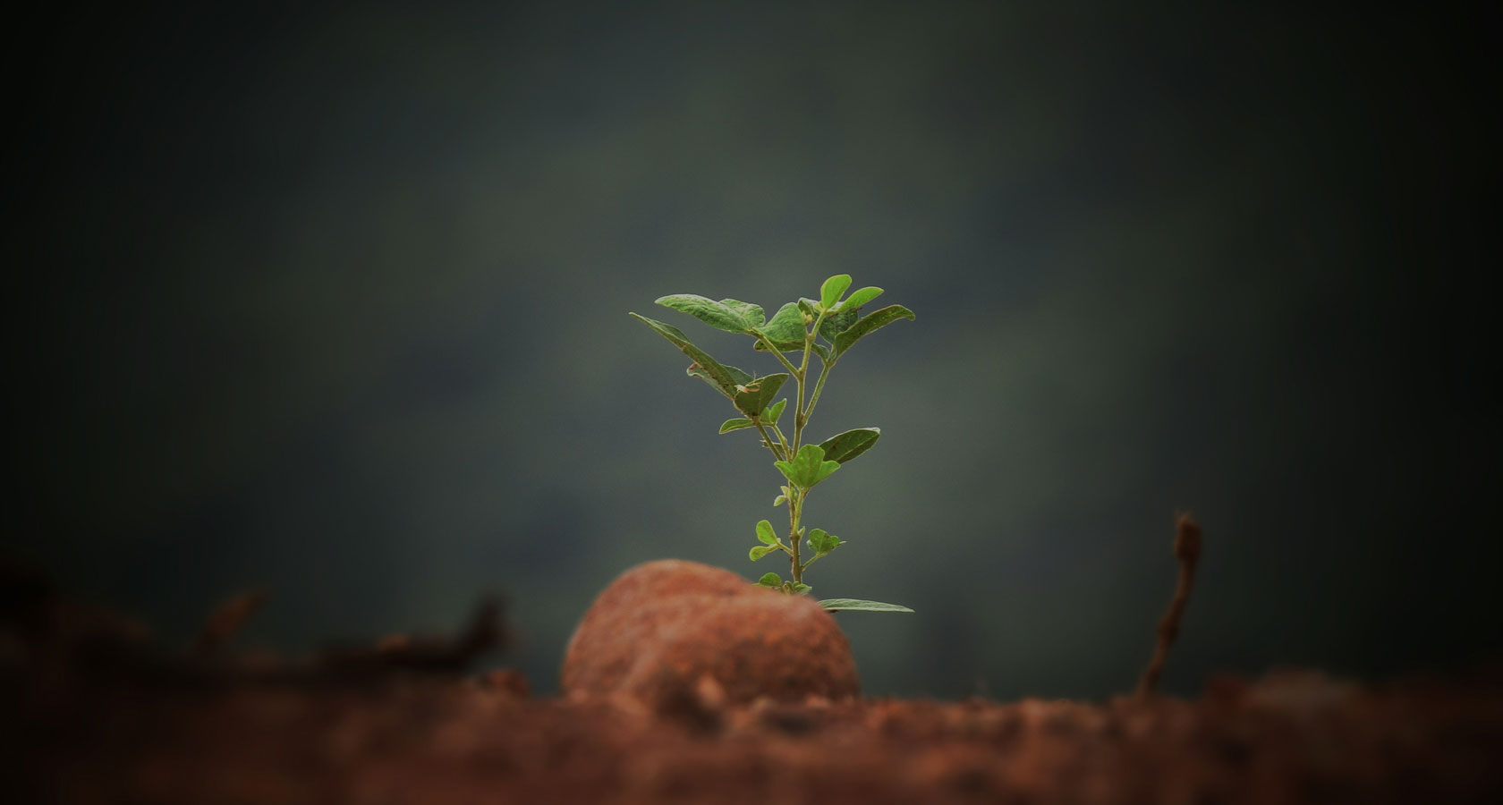 贝斯特 - 全球最奢华的游戏平台